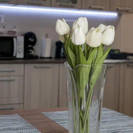 Várfal Apartman